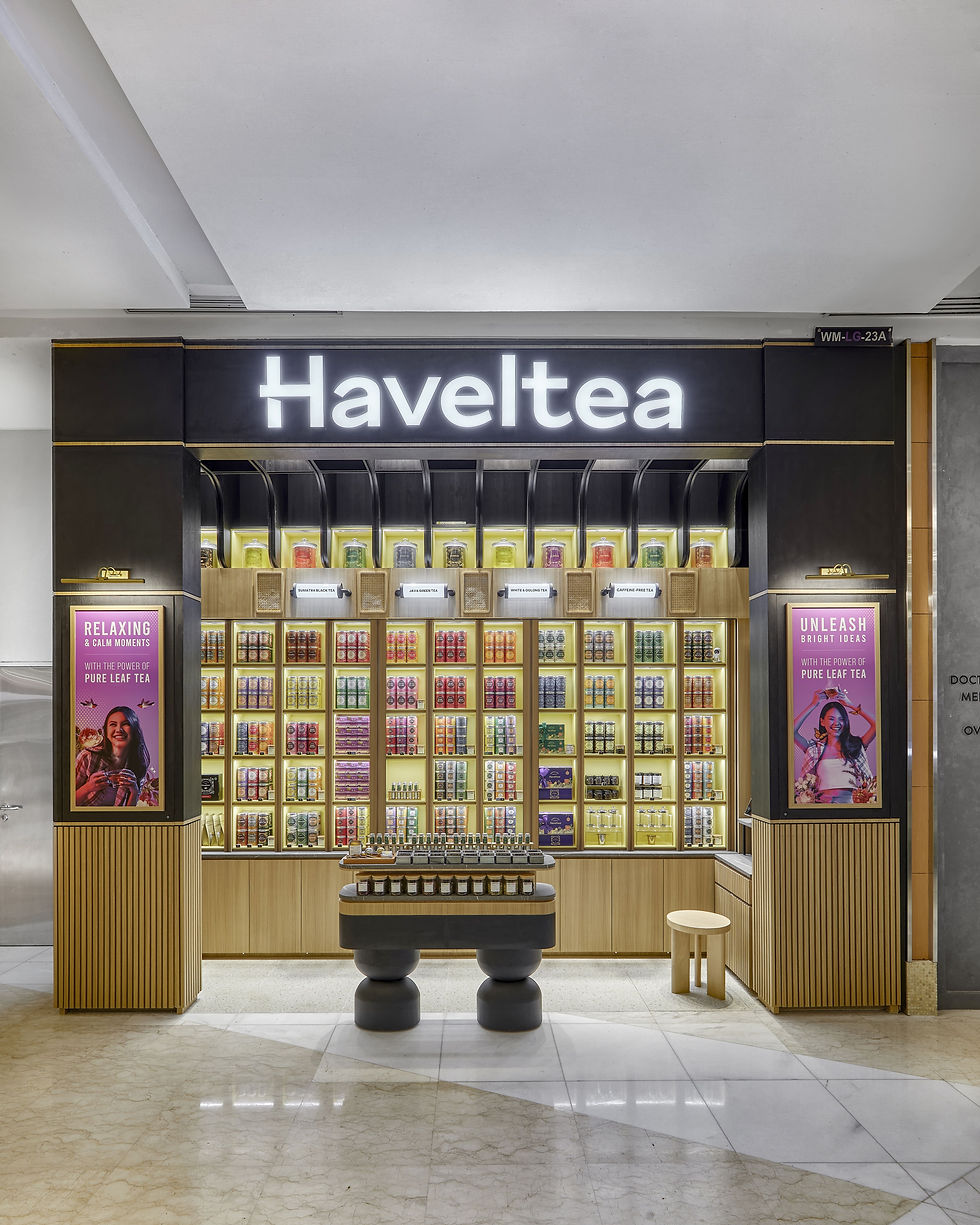 HAVELTEA_2e.jpg