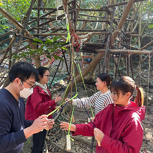 Practical skills and outdoor learning