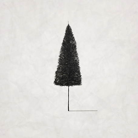 Rust Album Cover - Tree 4.png
