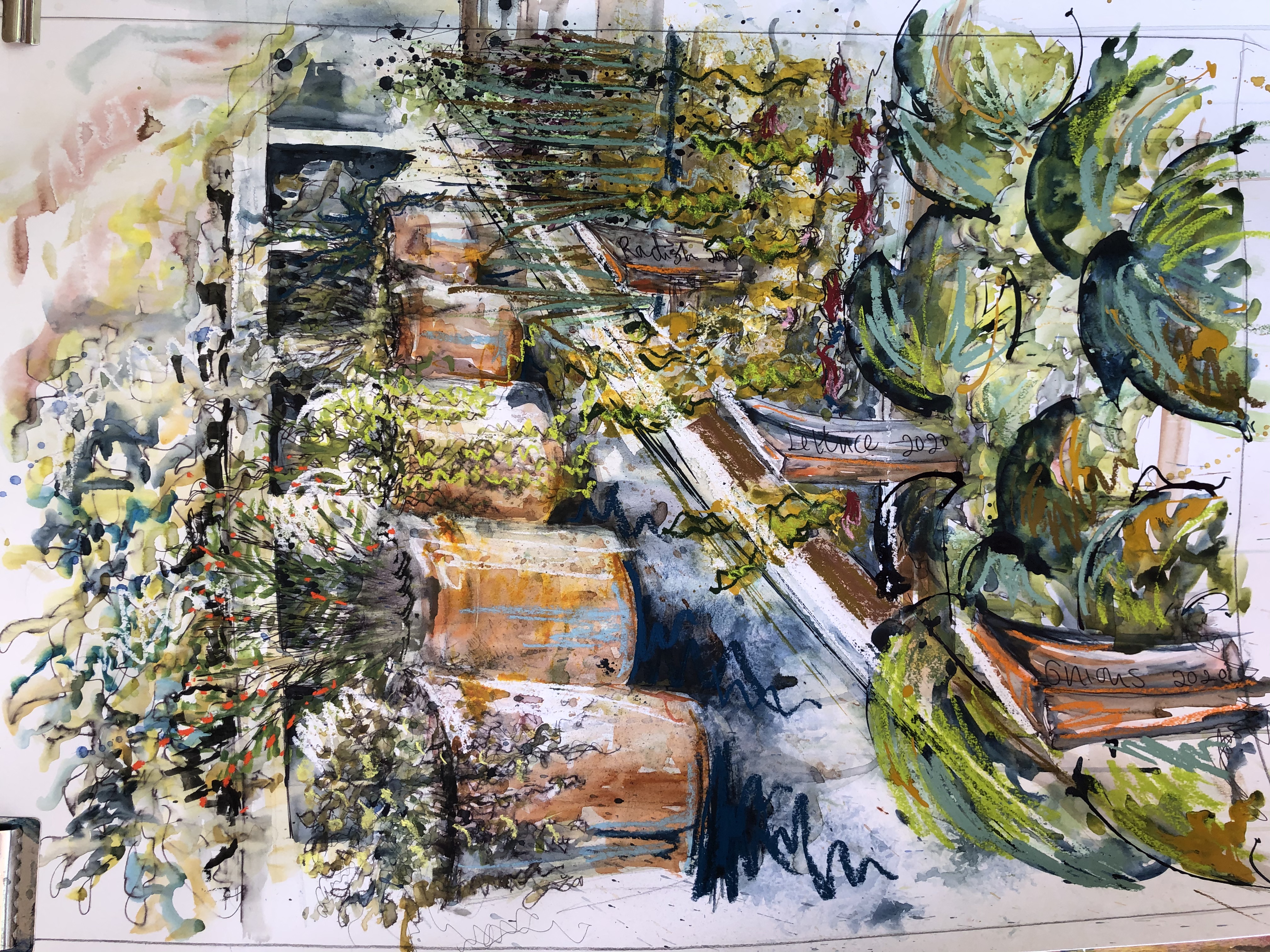 VEG HAVEN