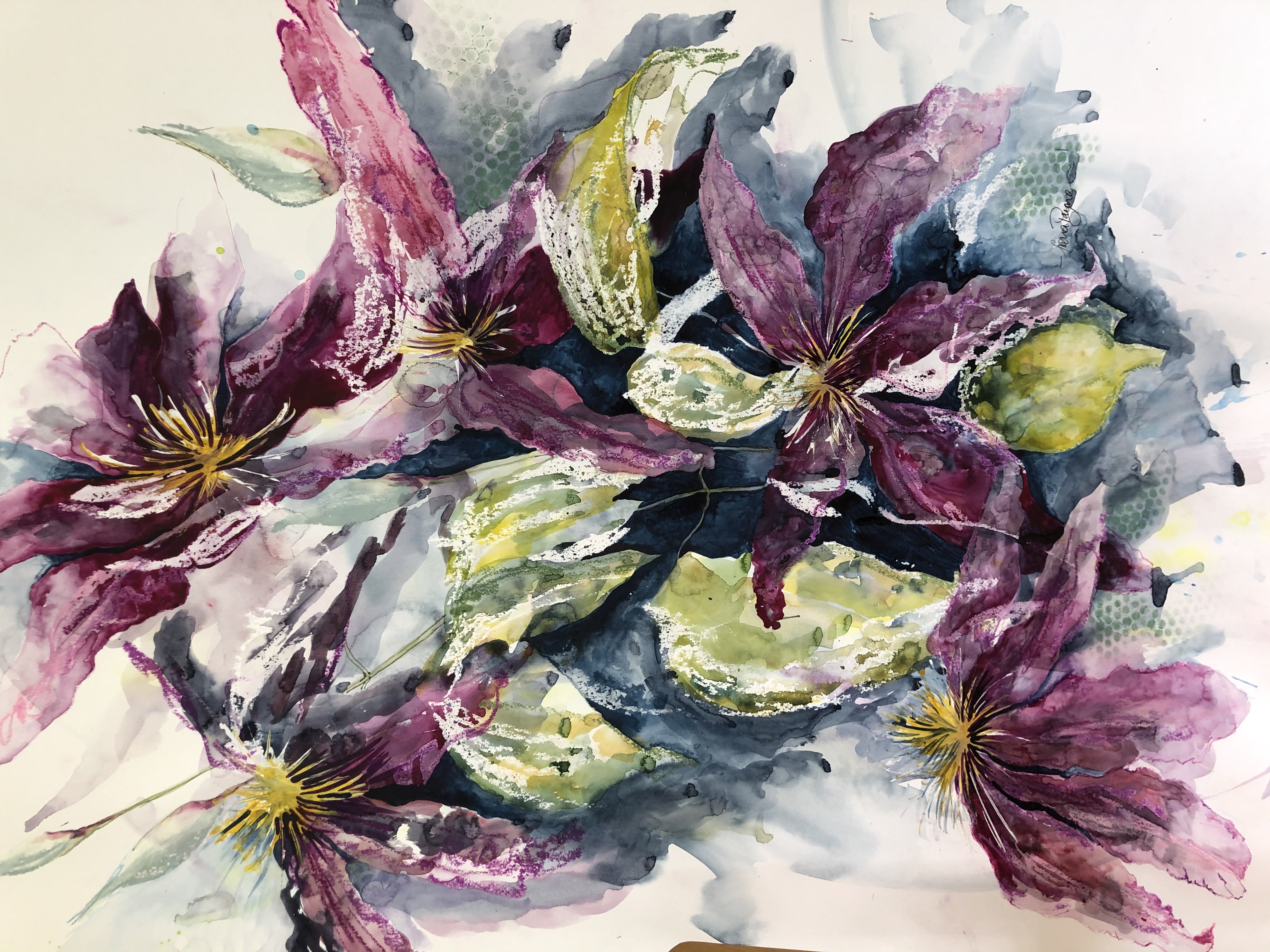CLEMATIS