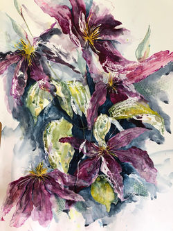 CLEMATIS