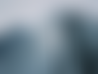 Why a home buyer always should have a Professional Real Estate Advisor as a Consultant