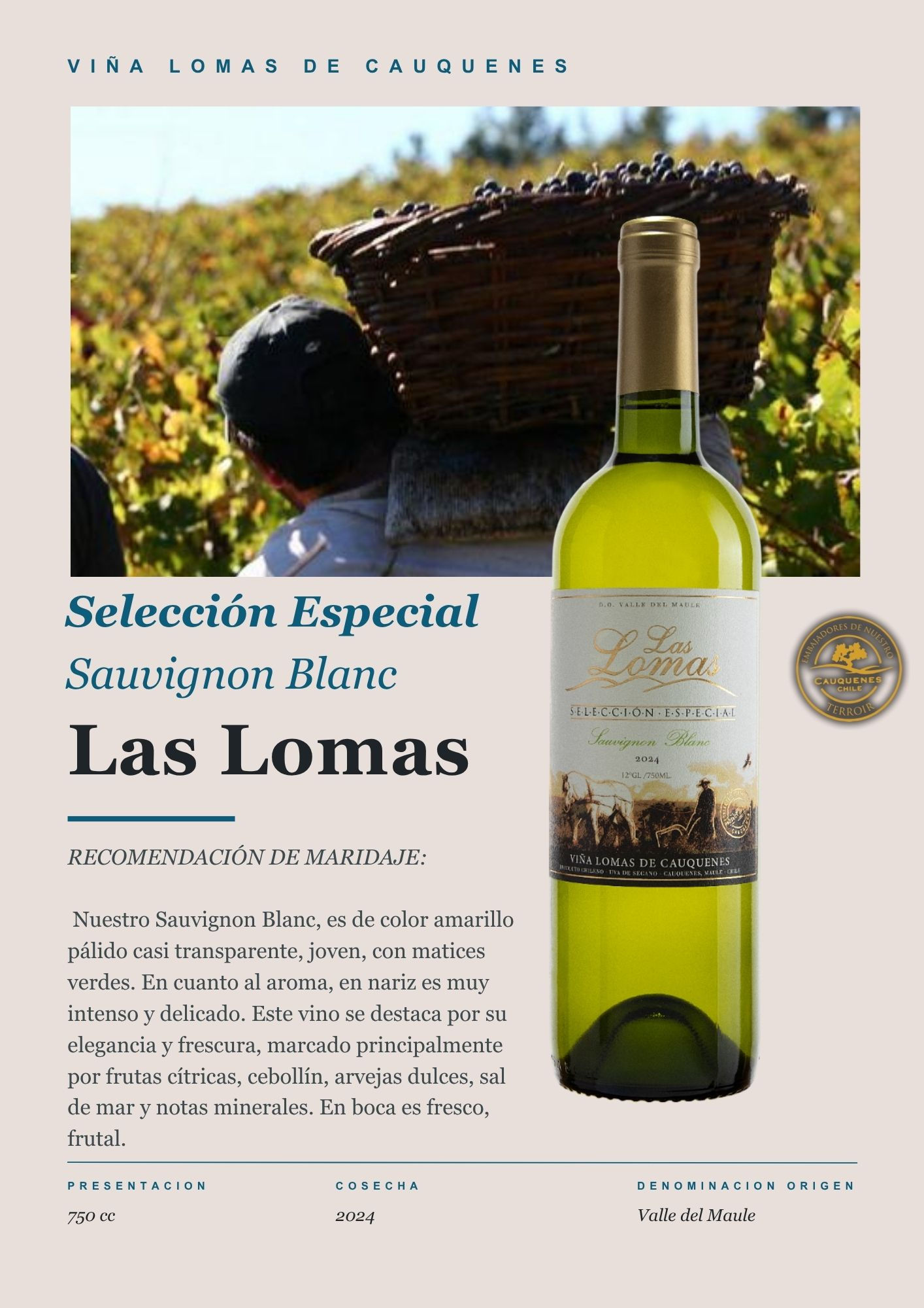Selección Especial Sauvignon Blanc 750cc