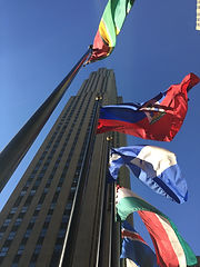 IMG_9430.jpg