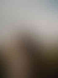 Maternity couple in field at Knox Farms State Park kissing in Upstate NY