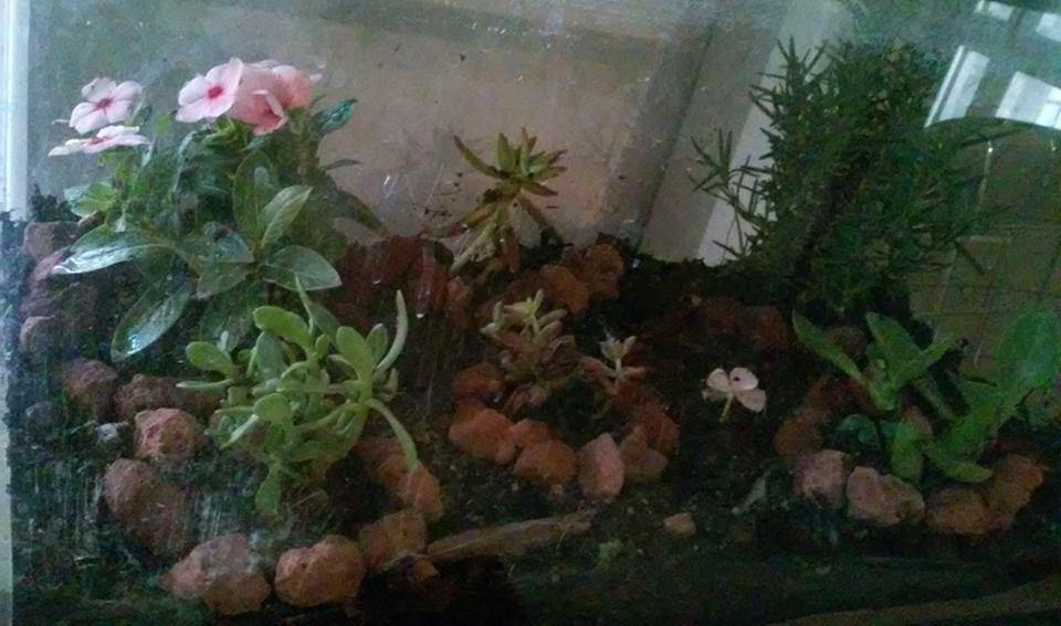 17758093_448364842174667_1278546225_n