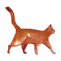 Watercolor Cat 5