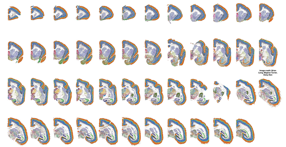 image-2.png