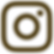 logo IG.png