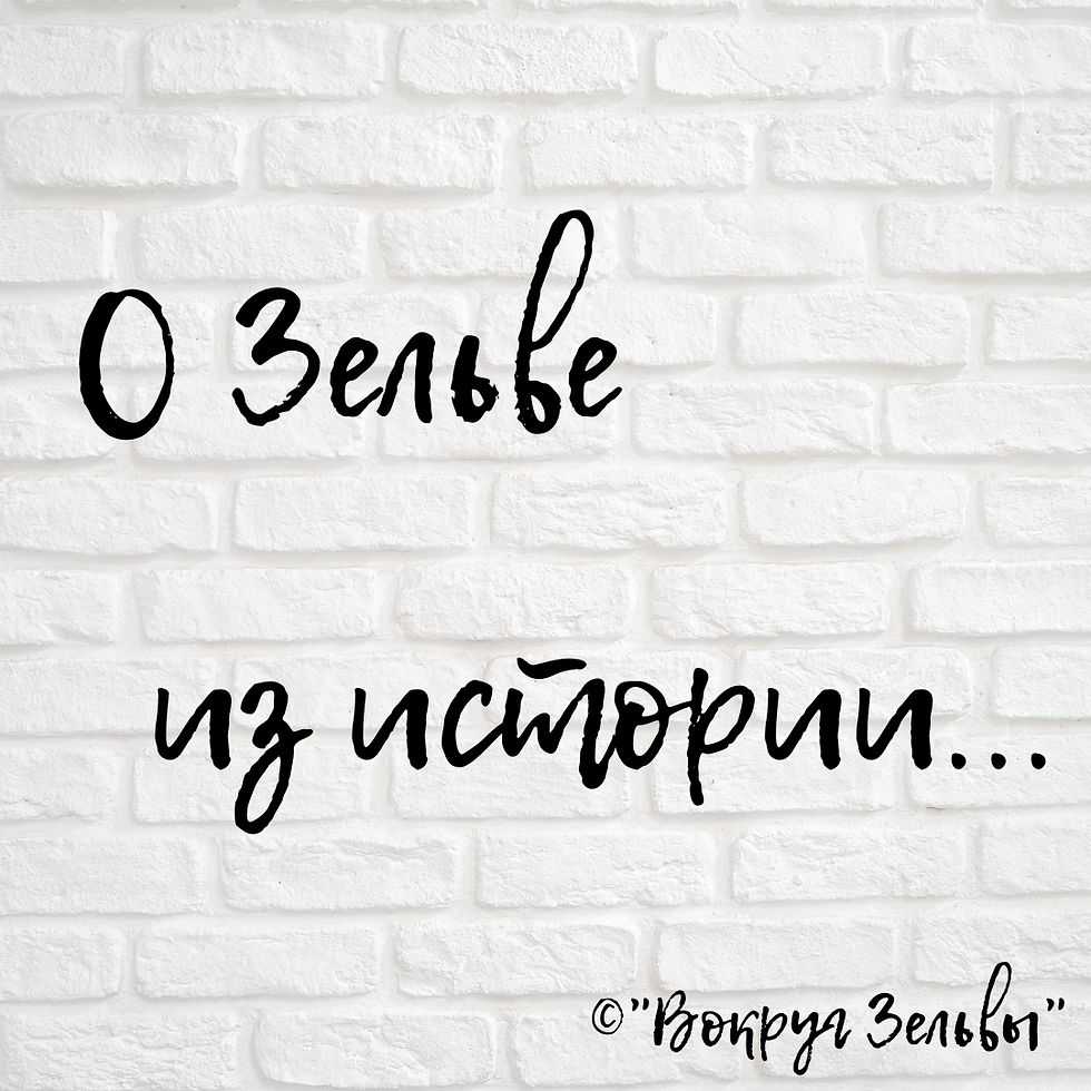 О Зельве из истории...