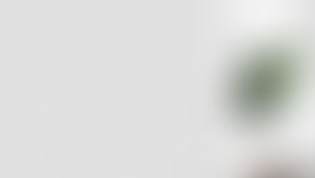 Are Artificial Plants Good for Feng Shui Home?