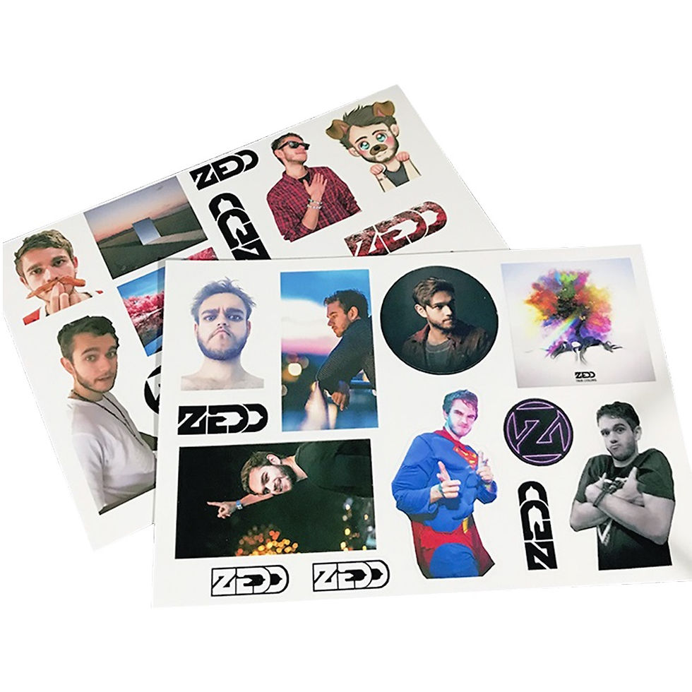 Zedd Stickers ( D1 )
