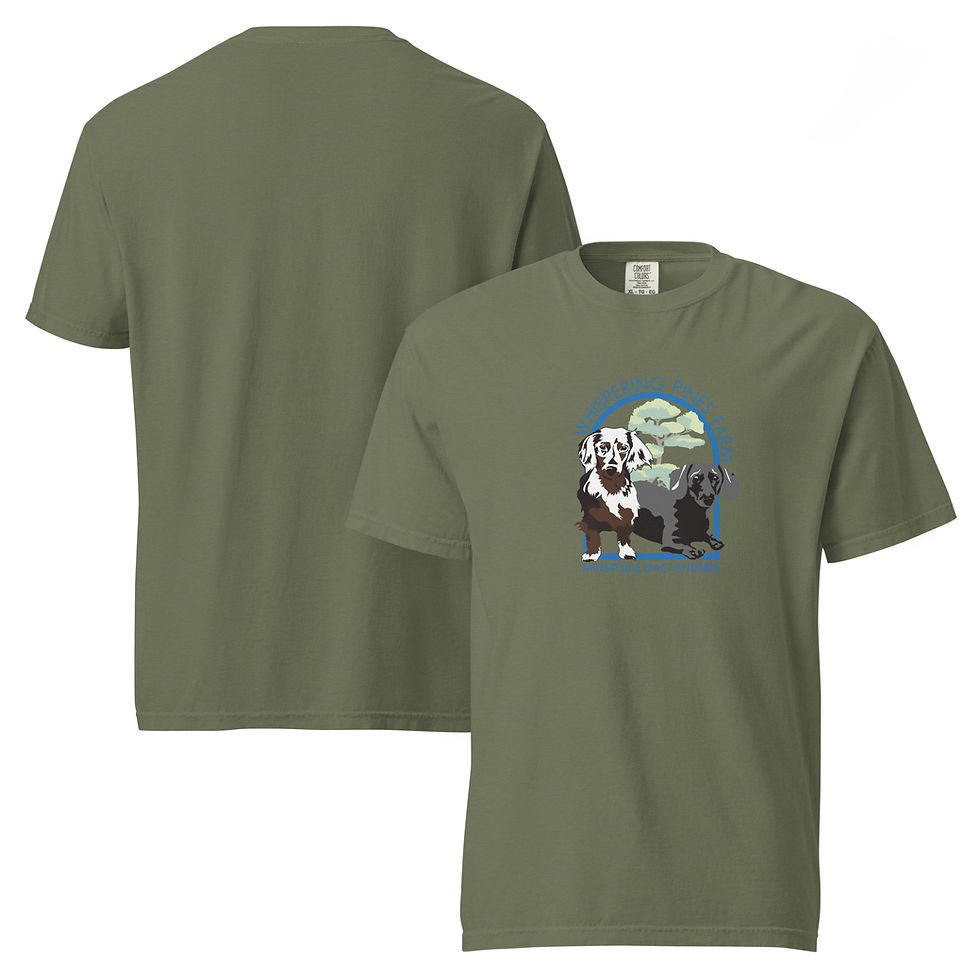 Thumbnail: Unisex Garment-Dyed Heavyweight T-Shirt | Comfort Colors 1717