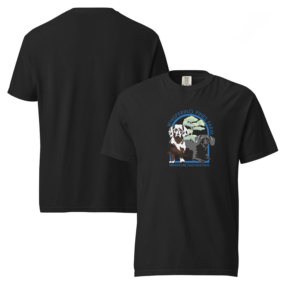 Thumbnail: Unisex Garment-Dyed Heavyweight T-Shirt | Comfort Colors 1717