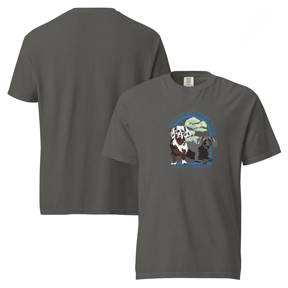 Thumbnail: Unisex Garment-Dyed Heavyweight T-Shirt | Comfort Colors 1717