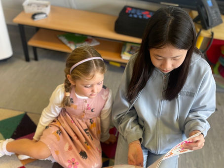 Let's meet our Buddies!