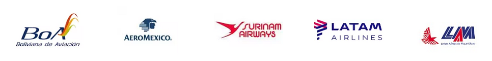 Cara Aviation Servics