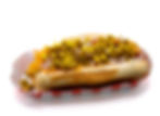 Southwest Dog