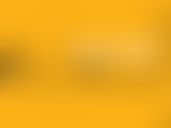 Tulip City Creative Logo - The Story Behind Tulip City Creative - Header Title Image