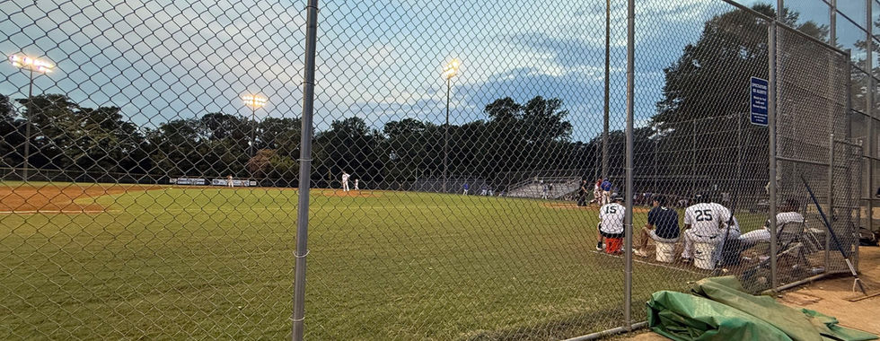 The view from third base at a D.C. Grays baseball game