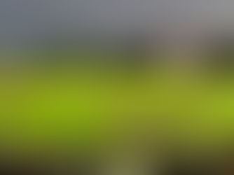 English Field at Atlantic Union Bank Park - Virginia Tech Hokies