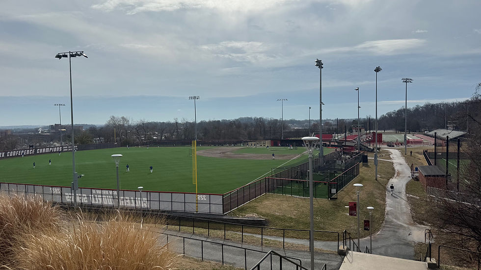 A view of Talbot Field from the steps leading from Carlini Field.