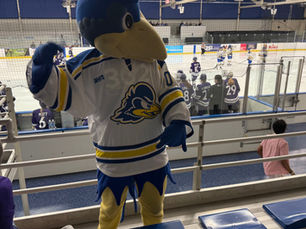 Fred Rust Arena - Delaware Blue Hens (women)