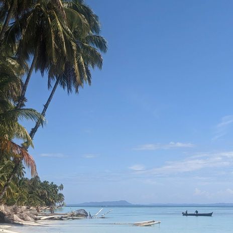 Bocas del Toro: Tout paradise 