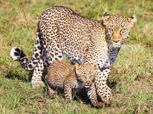Capturing the Beauty of Africa: Our Top 10 Pics from 2023