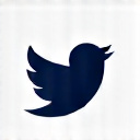Social media icon