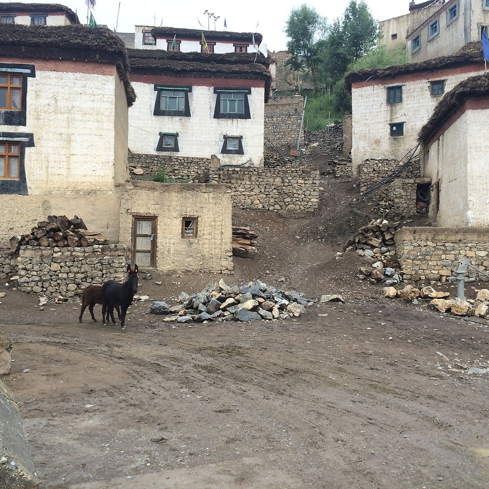 Kibber village