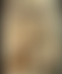 People and Nature: Humans, Animals and Environment in Anthropological Research