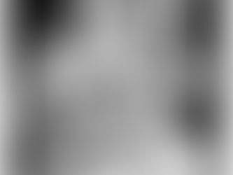 The Birch Tree: A Symbol of Femininity and Fertility