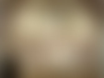 Beautiful Bodies and Divine Geometry: An Introduction to High Renaissance Art and Architecture