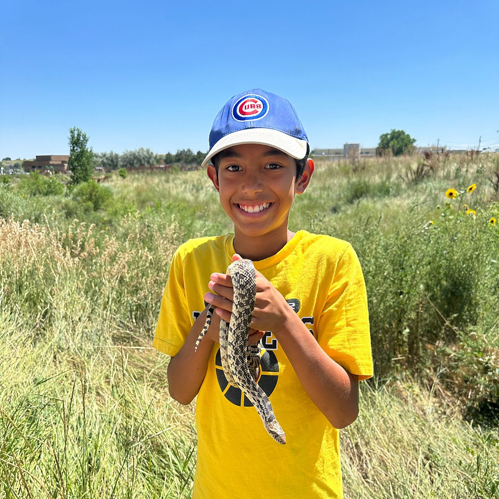 Single Day Critter Camp - June 5