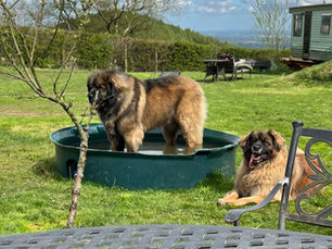 Sun, Spanners and Santa Pod