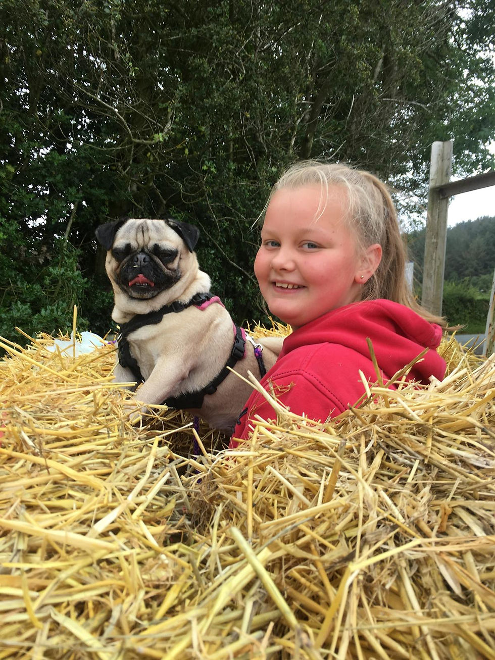 PC Peach — Honorary Title. Everything Is Her Business. RVS Duds Dud Dogs — No. 4