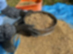 Sifting the threshed paddy with a sieve