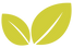 plant.png