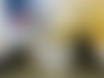 Стерилізаційна місія безпритульних тварин в Донецькій області. 