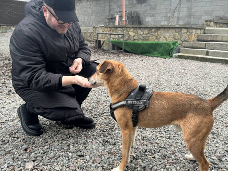 Лука. Врятований з затопленої Херсонщини.