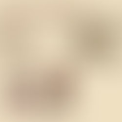 WEEK 5: THE PROGESS OF GRADUATION PROJECTS