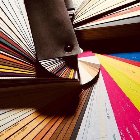 WEEK 8.6: A visit to Antalis