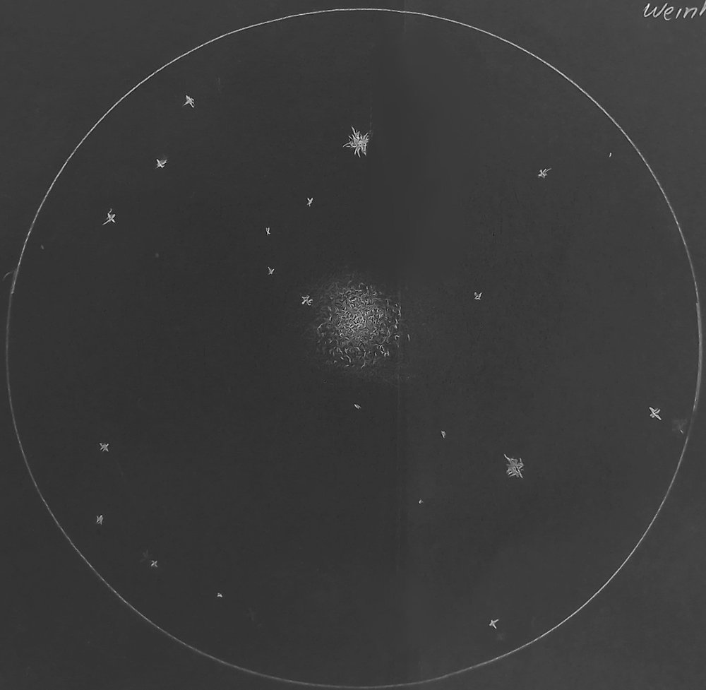 www.spargelacker-astronom.de