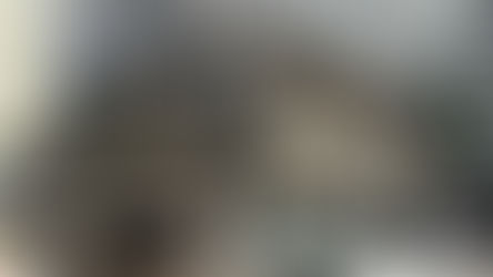 Assembleia Geral define realização de vigília para marcar 1 ano do envio do PCCS ao Legislativo