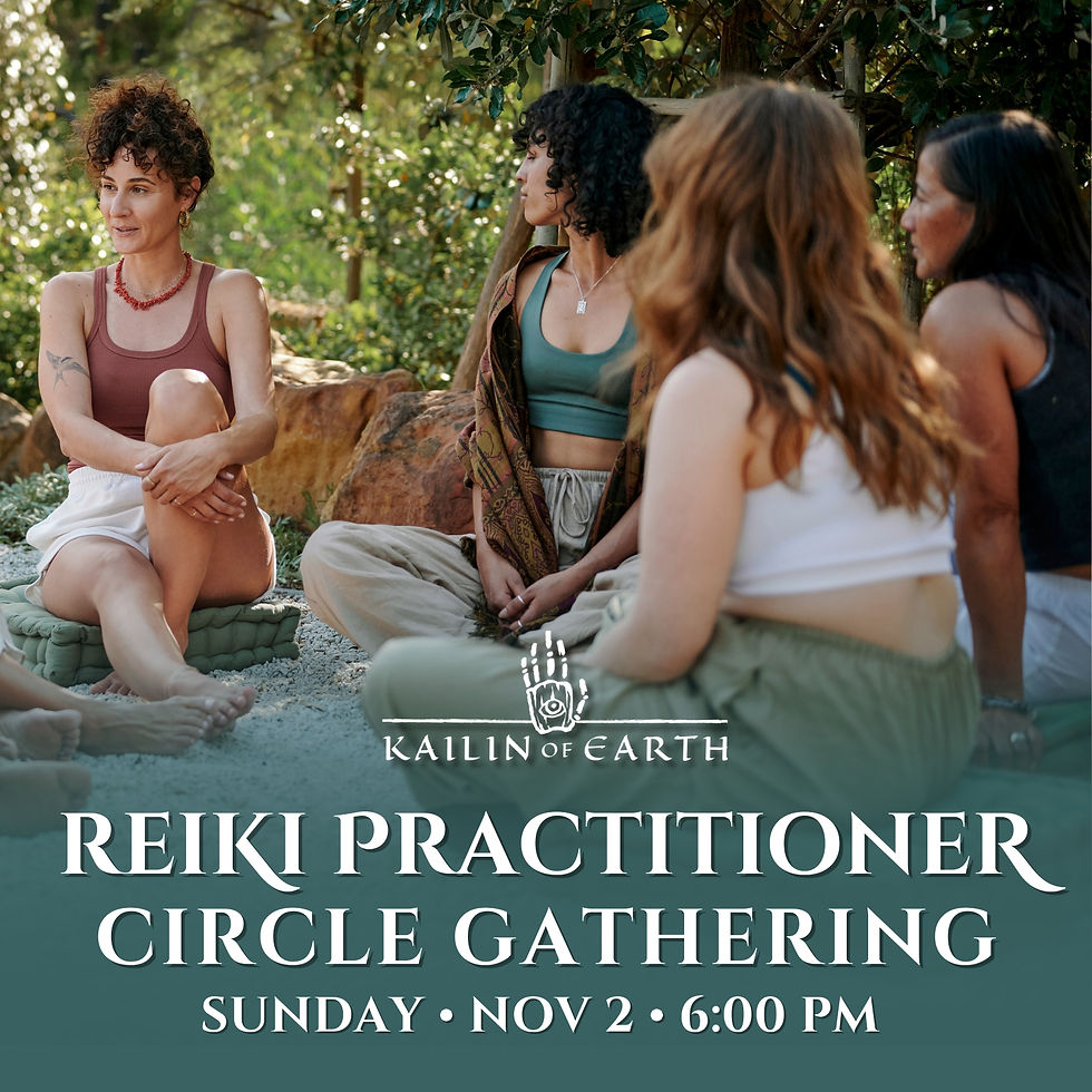 Reiki Practitioner Circle