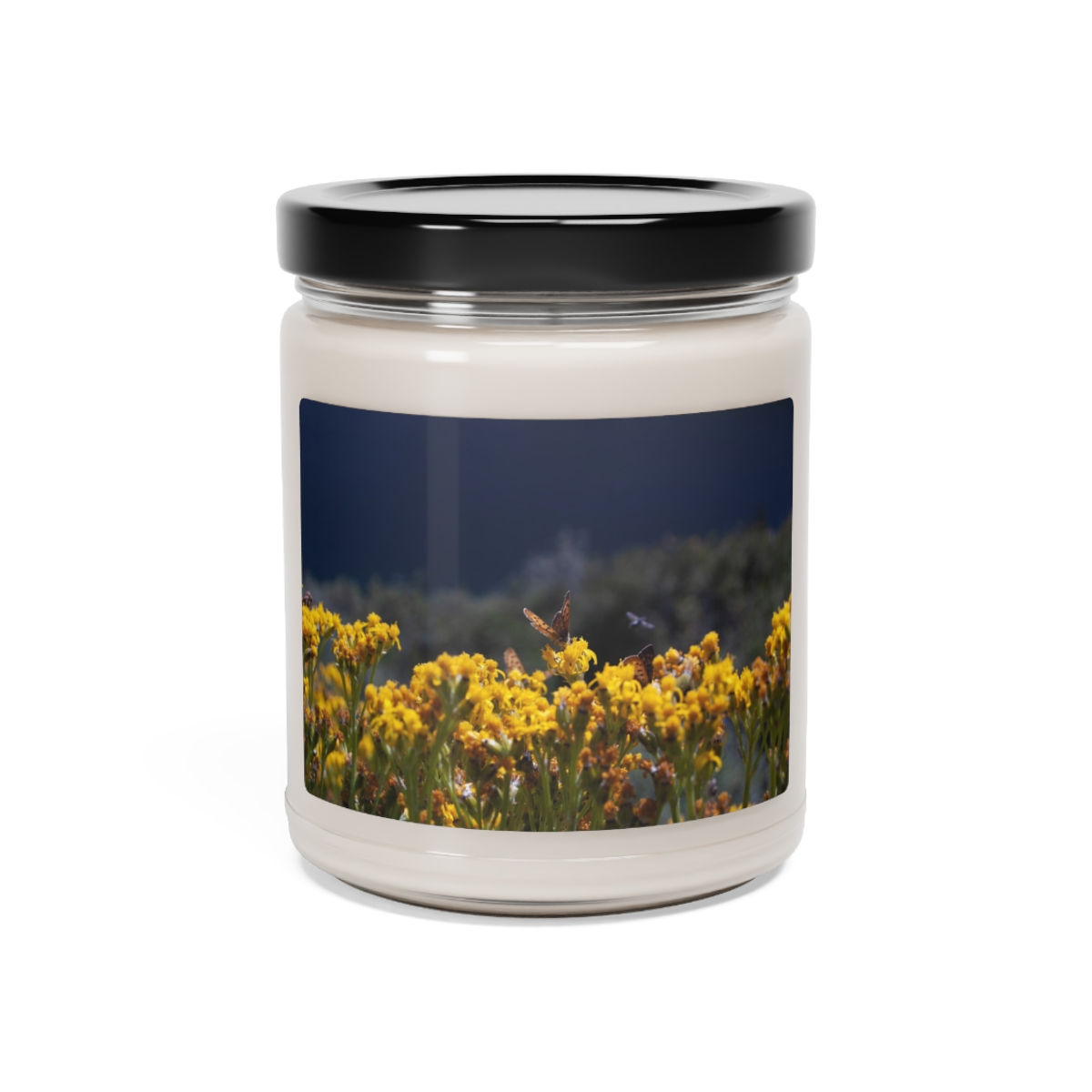 Butterflies and Wildflowers in Colorado, Scented Soy Candle, 9oz
