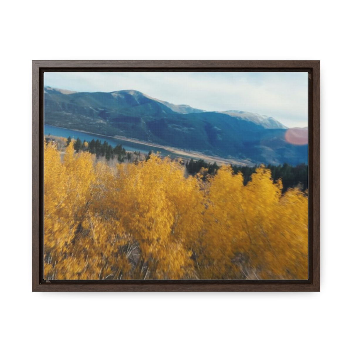Gallery Canvas Wraps, Horizontal Frame | Colorado Aspen Trees