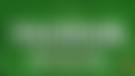 Retrouvez le Pages Feed de Facebook